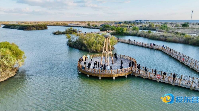 当转身起跳 当转身起跳